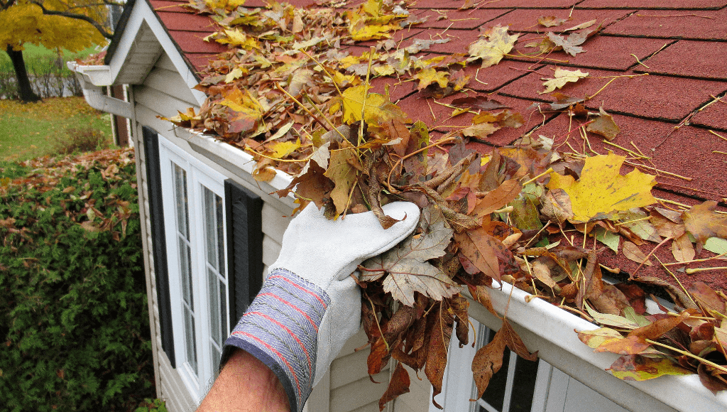 Seasonal Maintenance